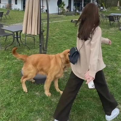妈妈的天空